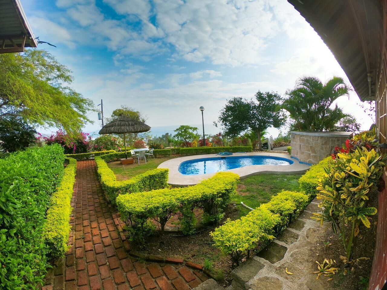 A landscaped garden with a swimming pool, a brick pathway, and various plants.