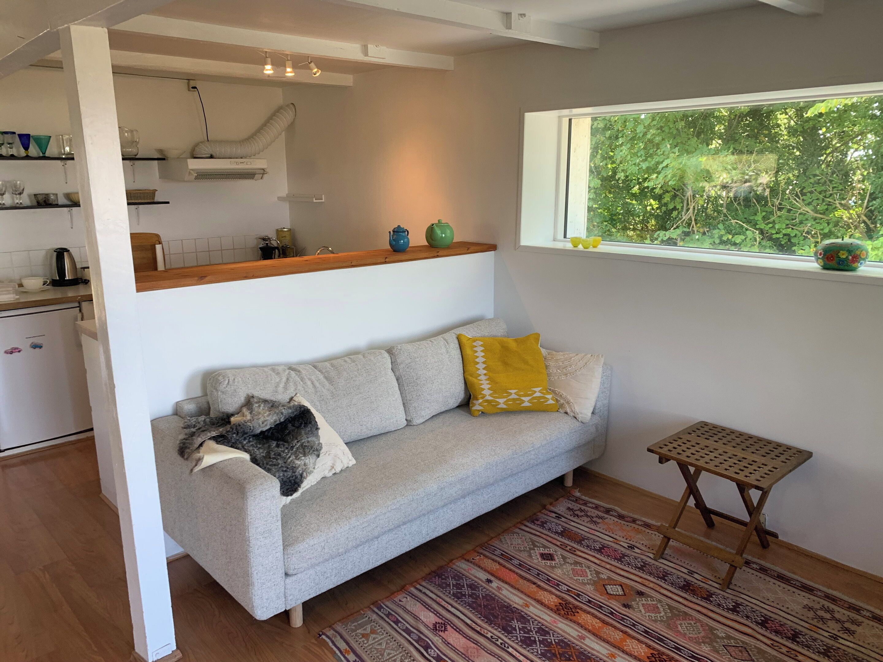 Un salon comprenant un canapé, une petite table en bois, un tapis à motifs, une fenêtre donnant sur un espace verdoyant, ainsi qu’un coin cuisine avec des étagères et des appareils électroménagers.