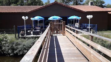 Terras