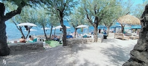 Property grounds - Apartment 'All'angolo' with Wi-Fi and Air Conditioning (Molfetta)