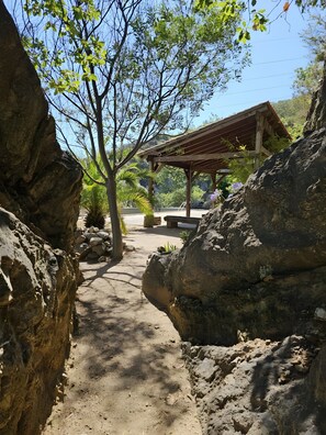 Property grounds - Le Mas Catois – Peaceful Family Farmhouse between Sea and Mountains (Argelès-sur-Mer)