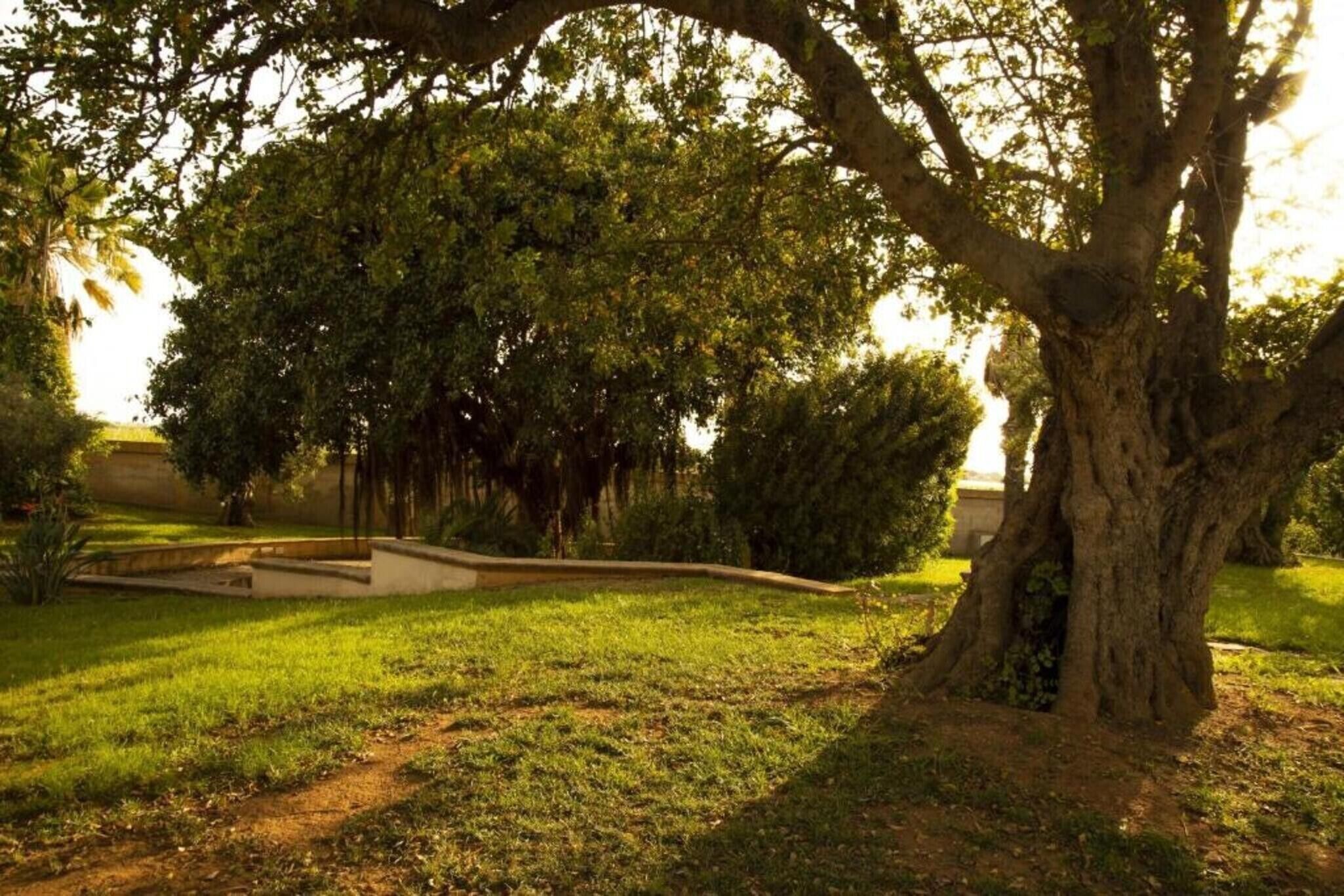 Parco della struttura