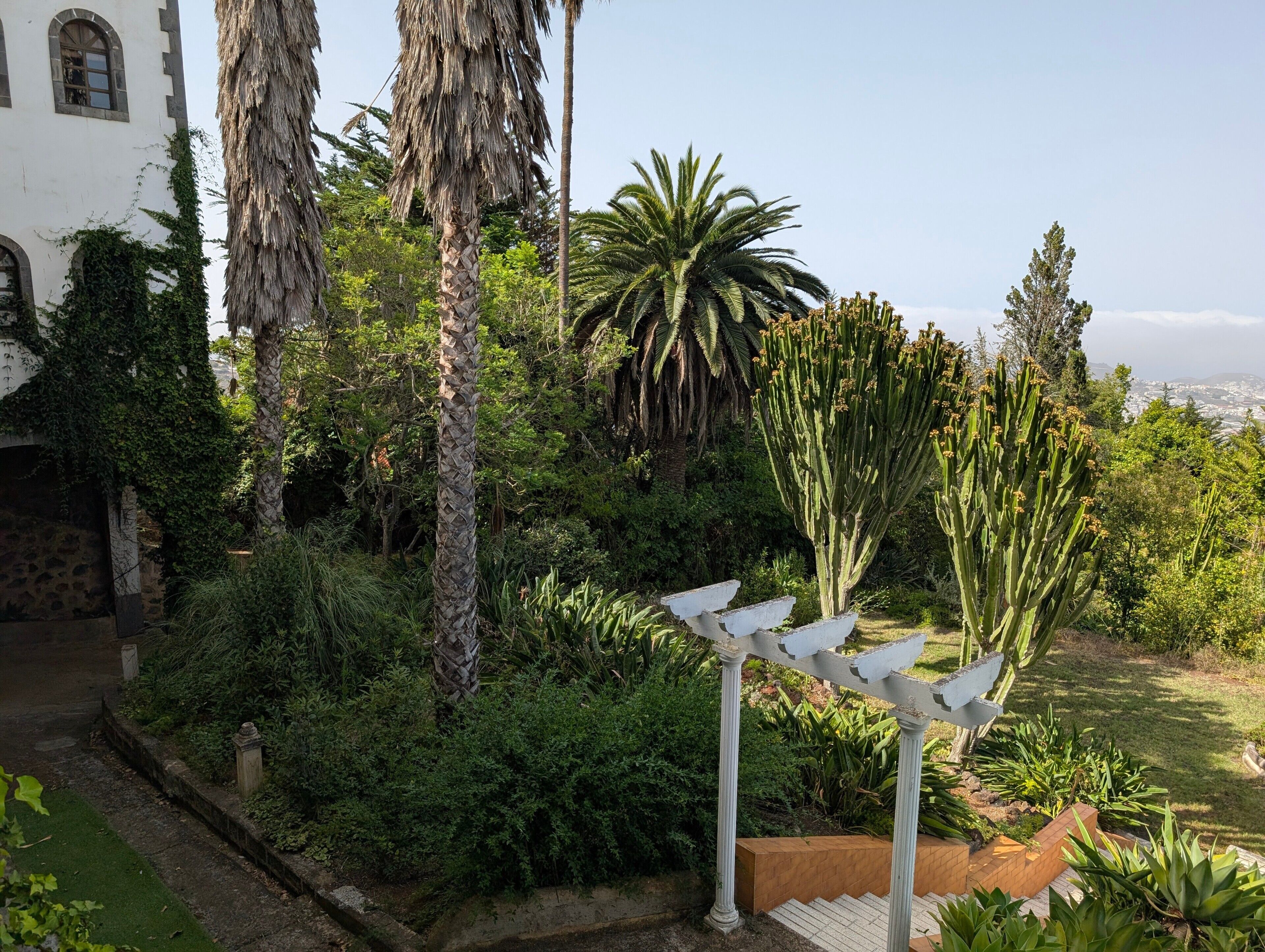 A lush garden with various plants and a white structure with bird sculptures.