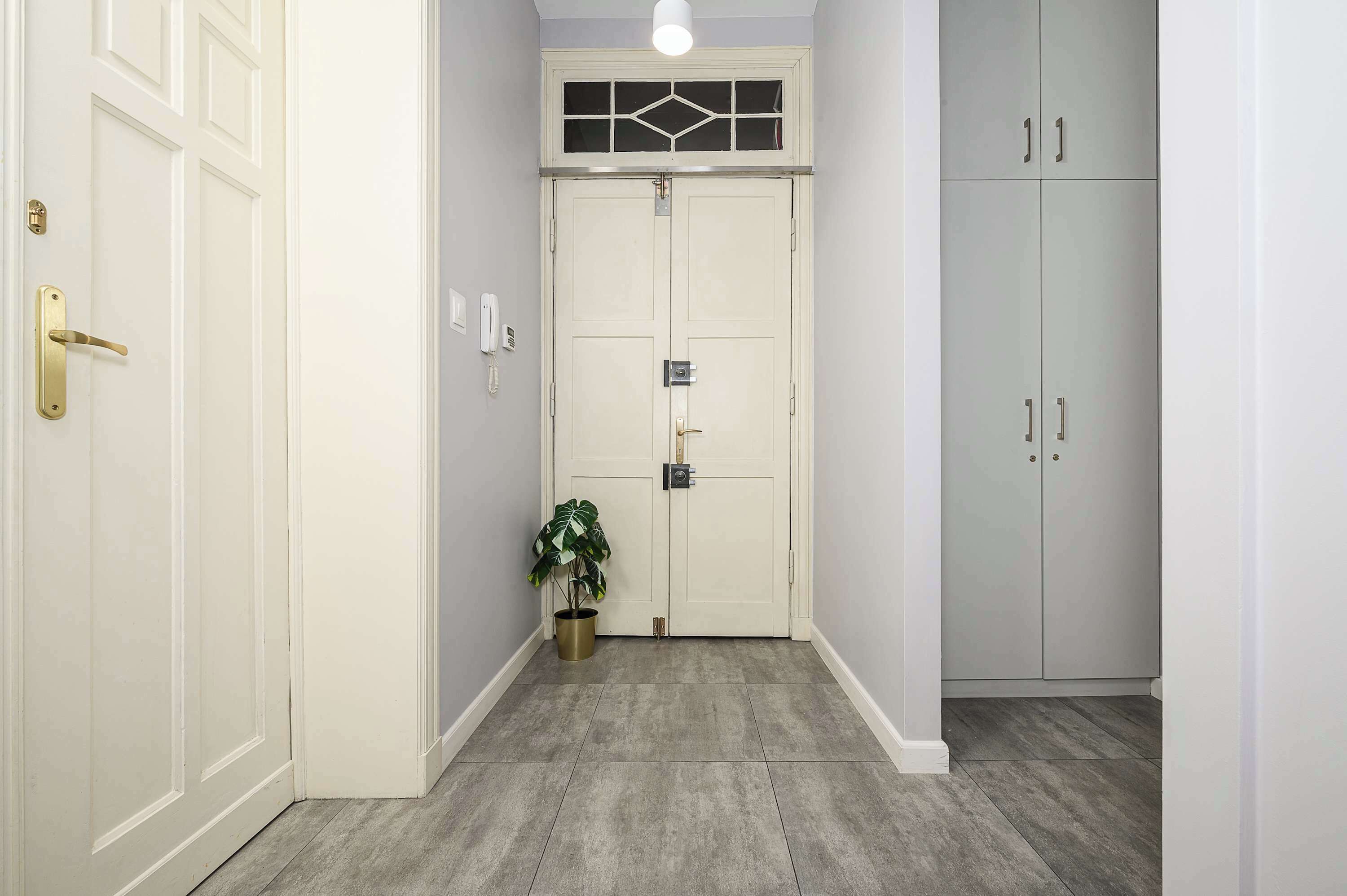 A hallway with a white door, a potted plant, and a wardrobe.