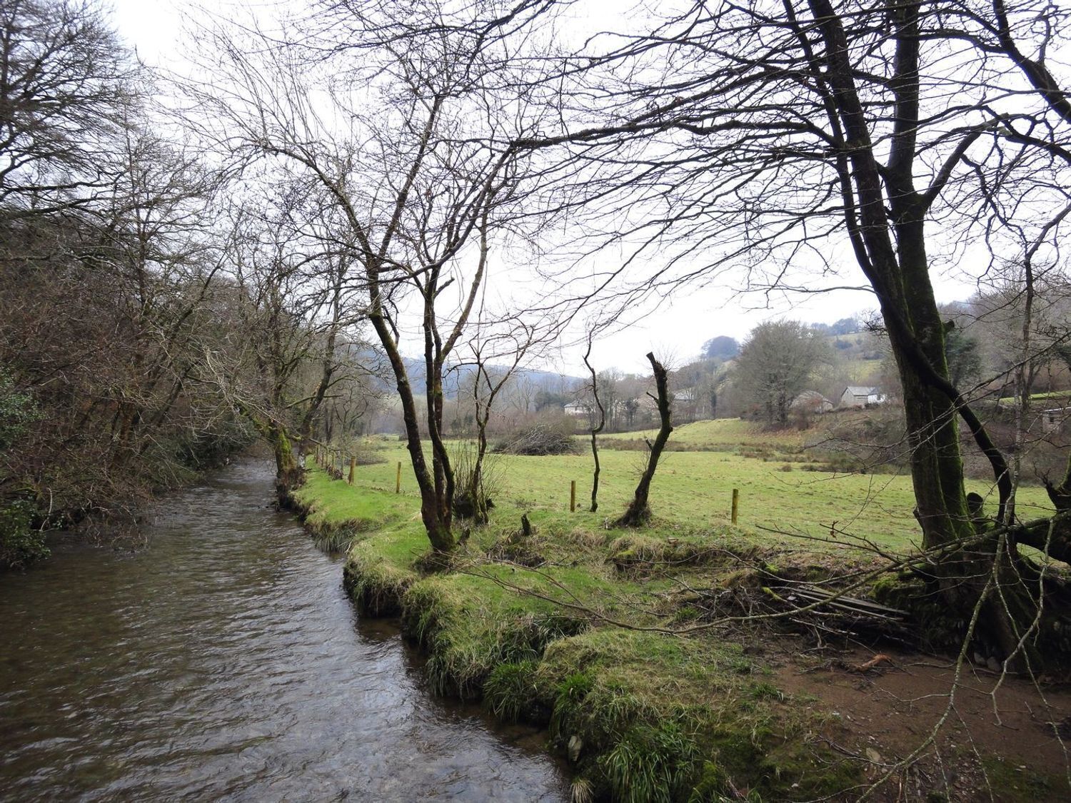 A rural landscape with a narrow stream, trees, and a grassy field.