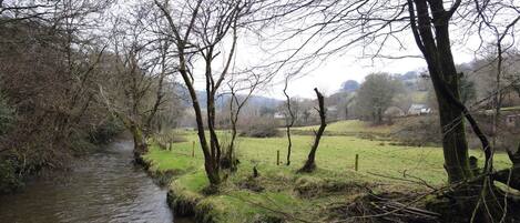 Un paysage rural avec un petit ruisseau, des arbres et un champ d’herbe.