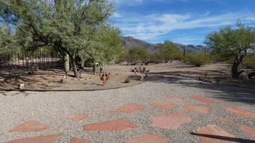 Overnattingsstedets uteområder