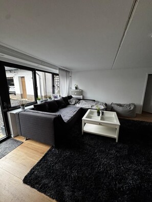 منطقة المعيشة