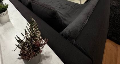 Apartment 'Rosenhaus' with Shared Terrace and Wi-Fi