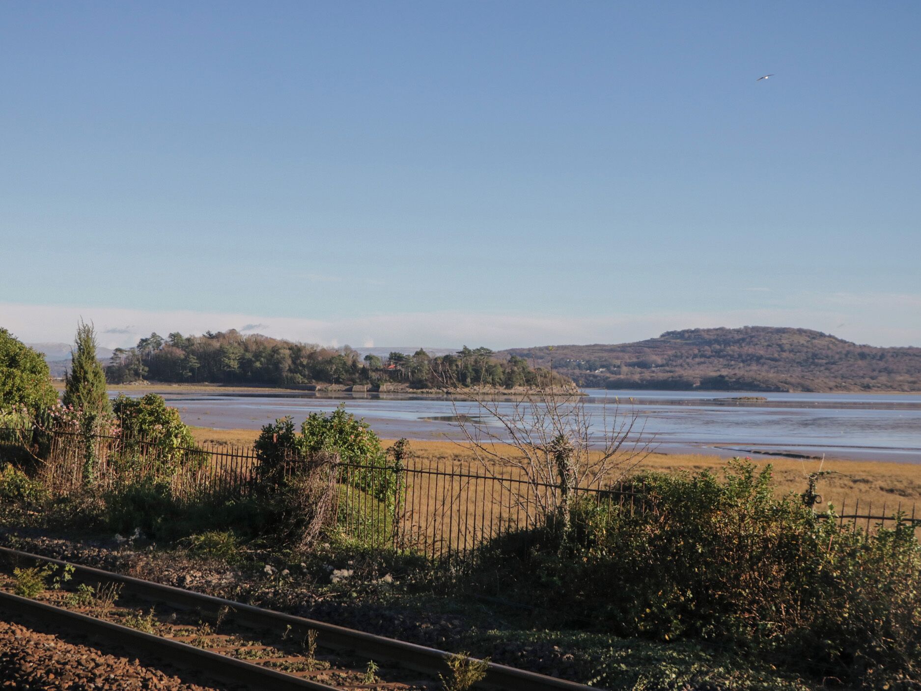 A scenic view of a lake with a distant hill, surrounded by vegetation and a fence.