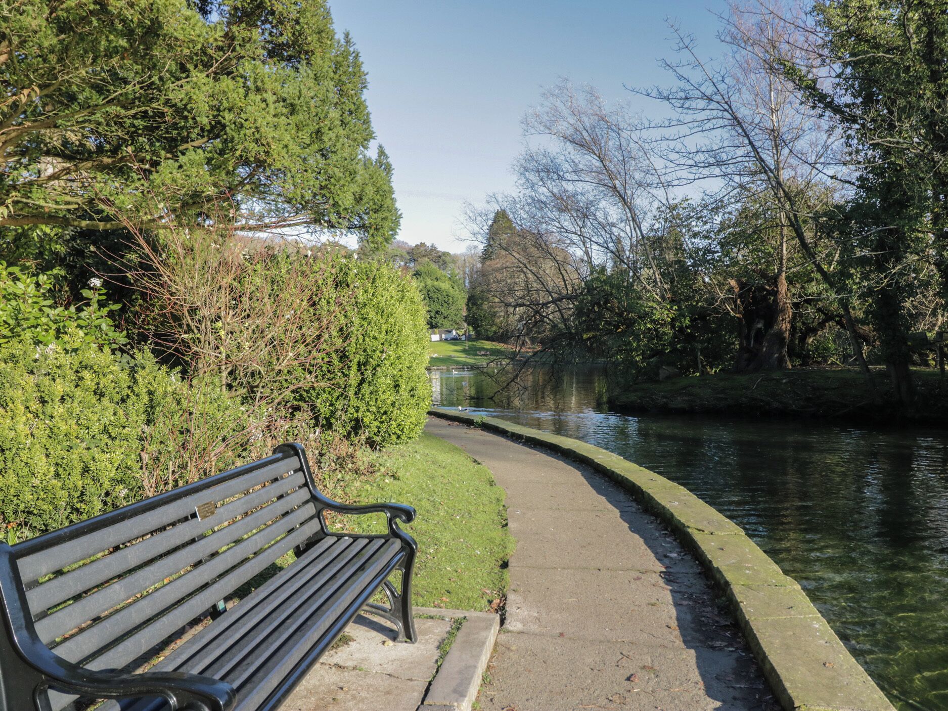 A park bench by a calm river with trees and a grassy area.