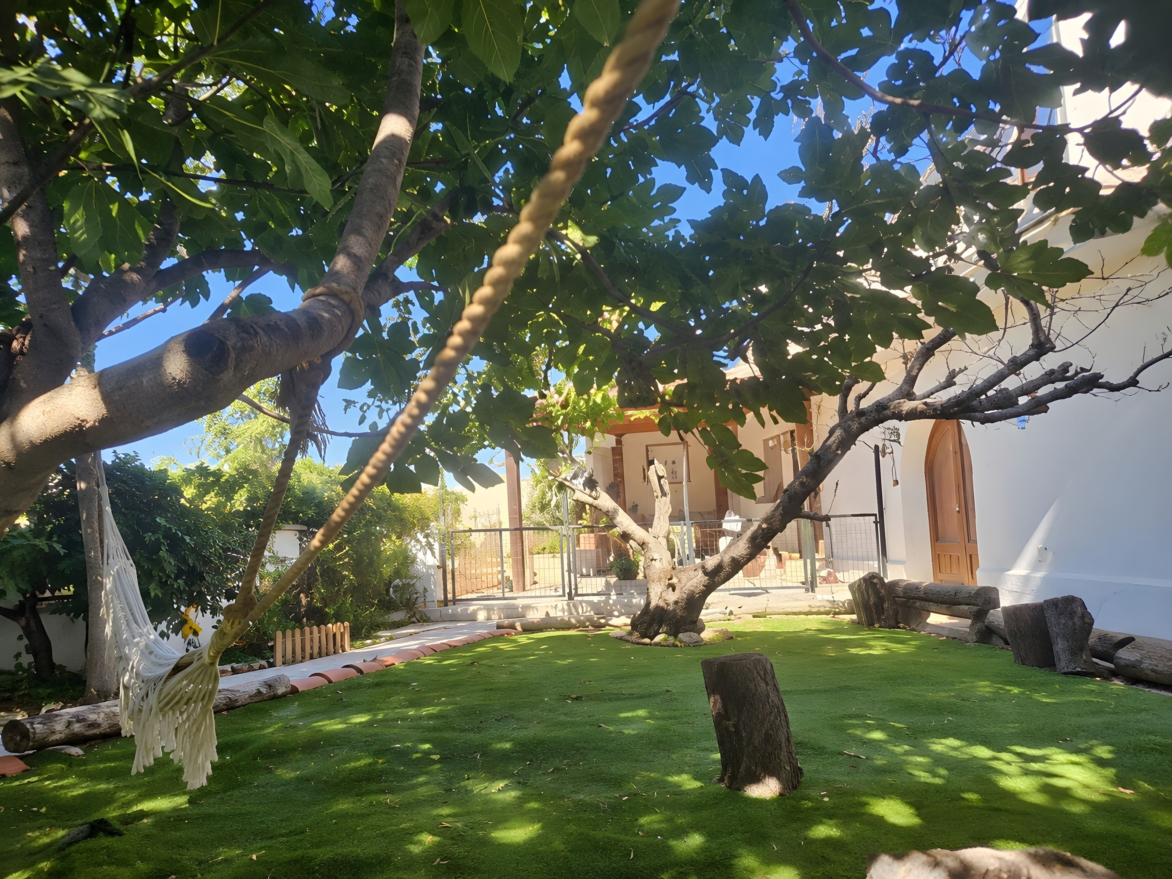 Un jardin bien entretenu, agrémenté d’un hamac, d’un banc en bois et d’un tronc d’arbre taillé en forme de souche.