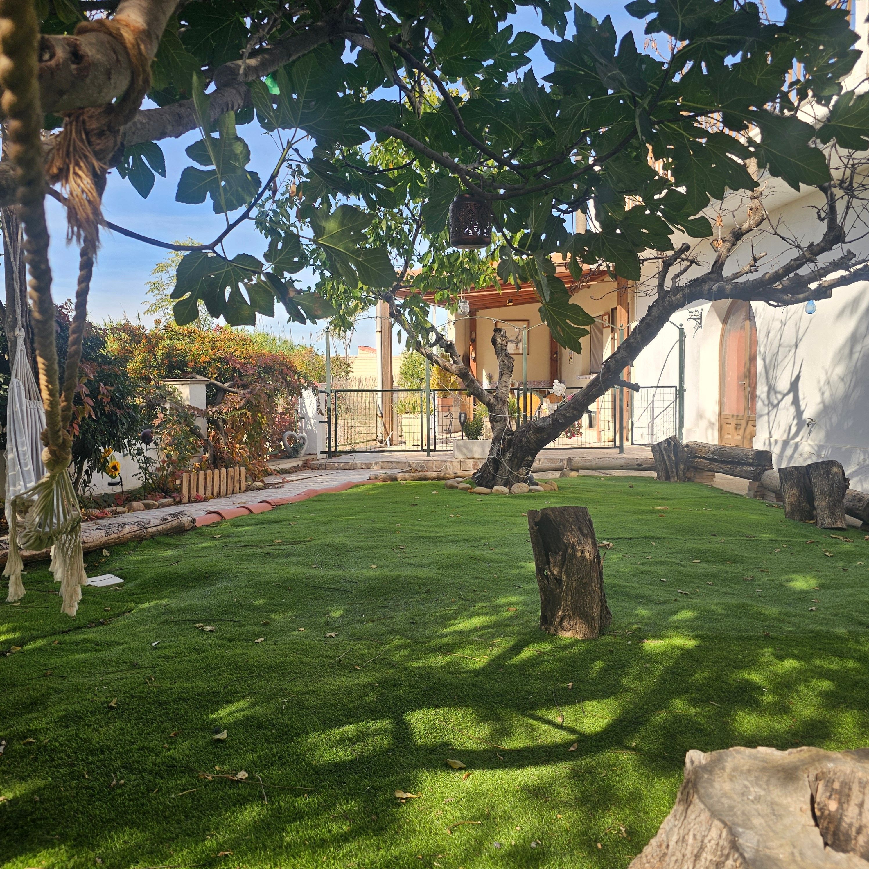 Ein gepflegter Garten mit Rasen, einem Baumstumpf und einem Gebäude im Hintergrund.