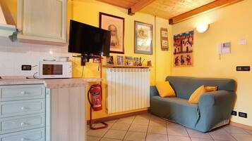 A kitchen with a microwave, a television, a fire extinguisher, and a radiator.