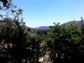 Altres