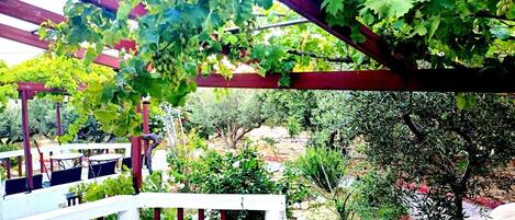 テラス / パティオ