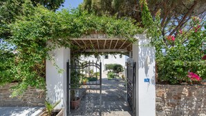 A stone pathway leading to a gated entrance with a pergola overhead, surrounded by greenery and a stone wall. - Holiday Home 'Saphhire' with Sea View, Shared Terrace and Wi-Fi (Paros)