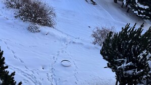 Un espacio exterior cubierto de nieve, con una valla de metal, una escalera de madera y árboles nevados.