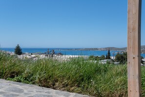Une vue sur la côte, avec un ciel dégagé, un poteau en bois et un chemin de pierres menant à une zone herbeuse.