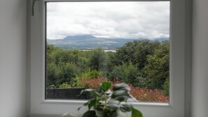 Una ventana con vistas a un paisaje, que incluye árboles y una montaña distante.