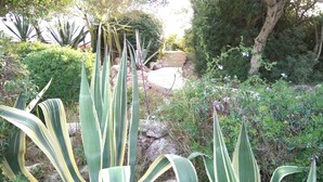 A garden with large green plants, a stone pathway, and a tree. - Bouganville Apartment in Son Bou with Sea View (ALAIOR)