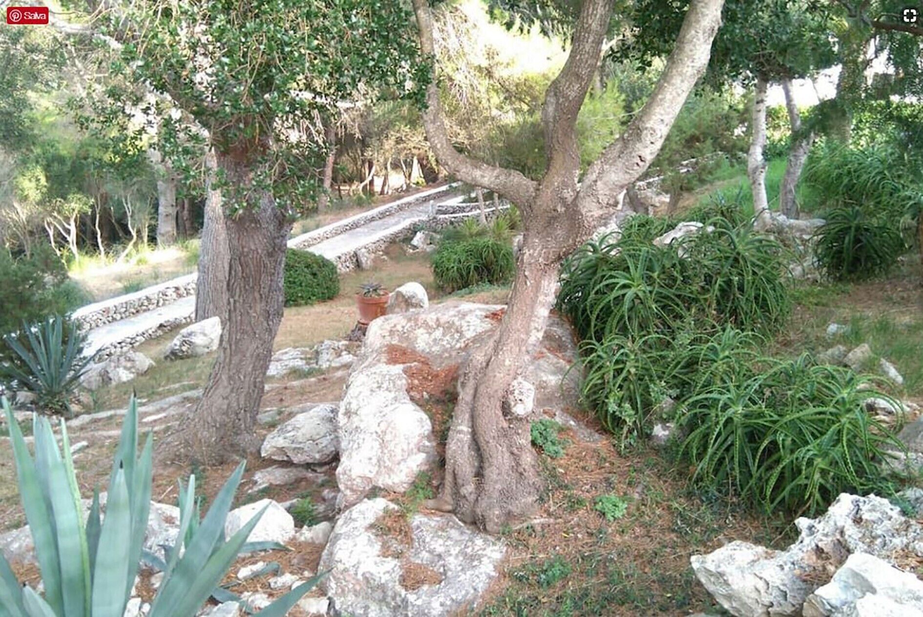 Jardines del alojamiento