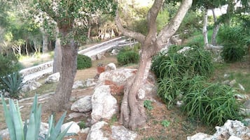 Jardines del alojamiento