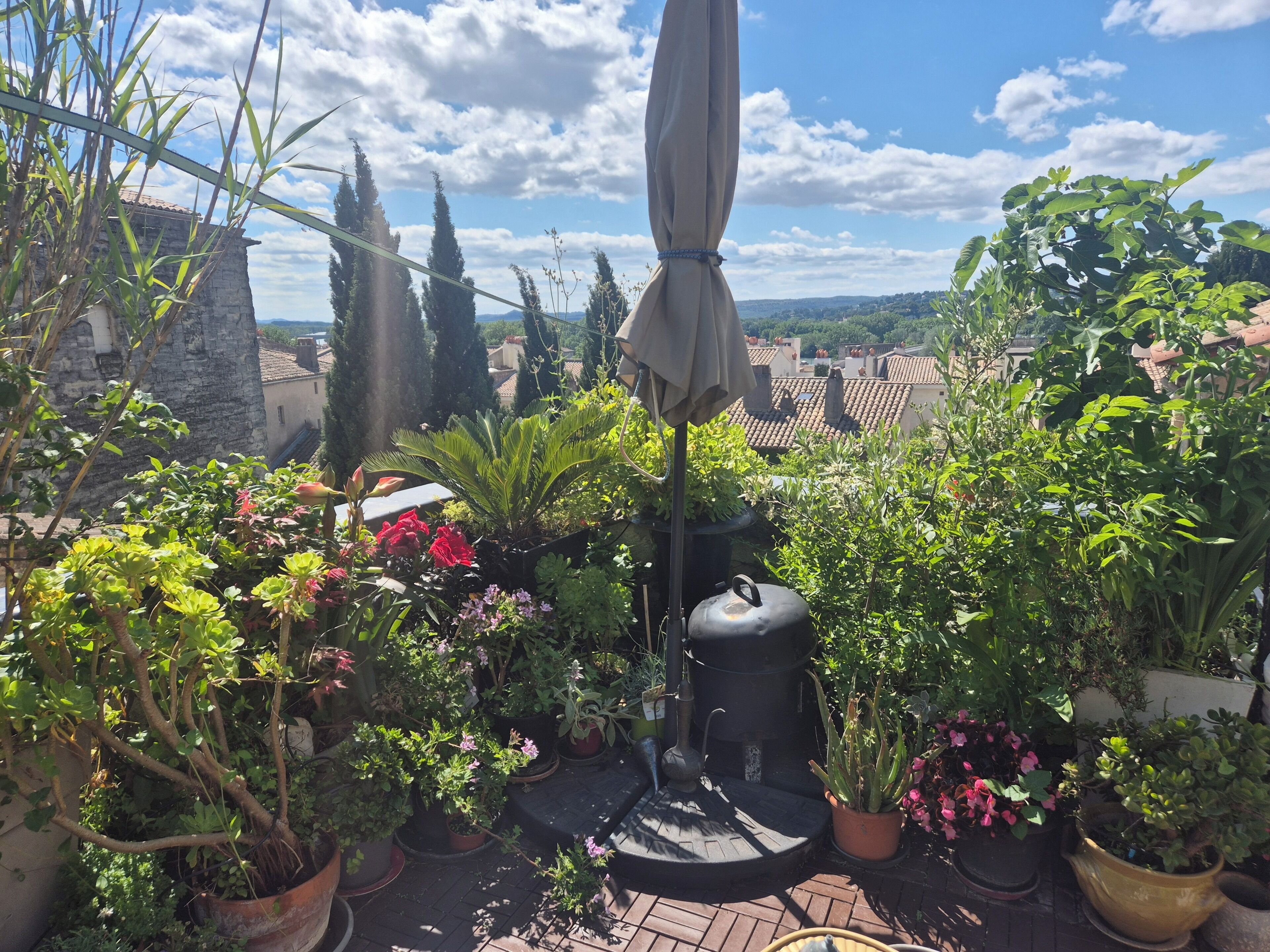 A rooftop garden with potted plants, a water feature, and a view of the cityscape.
