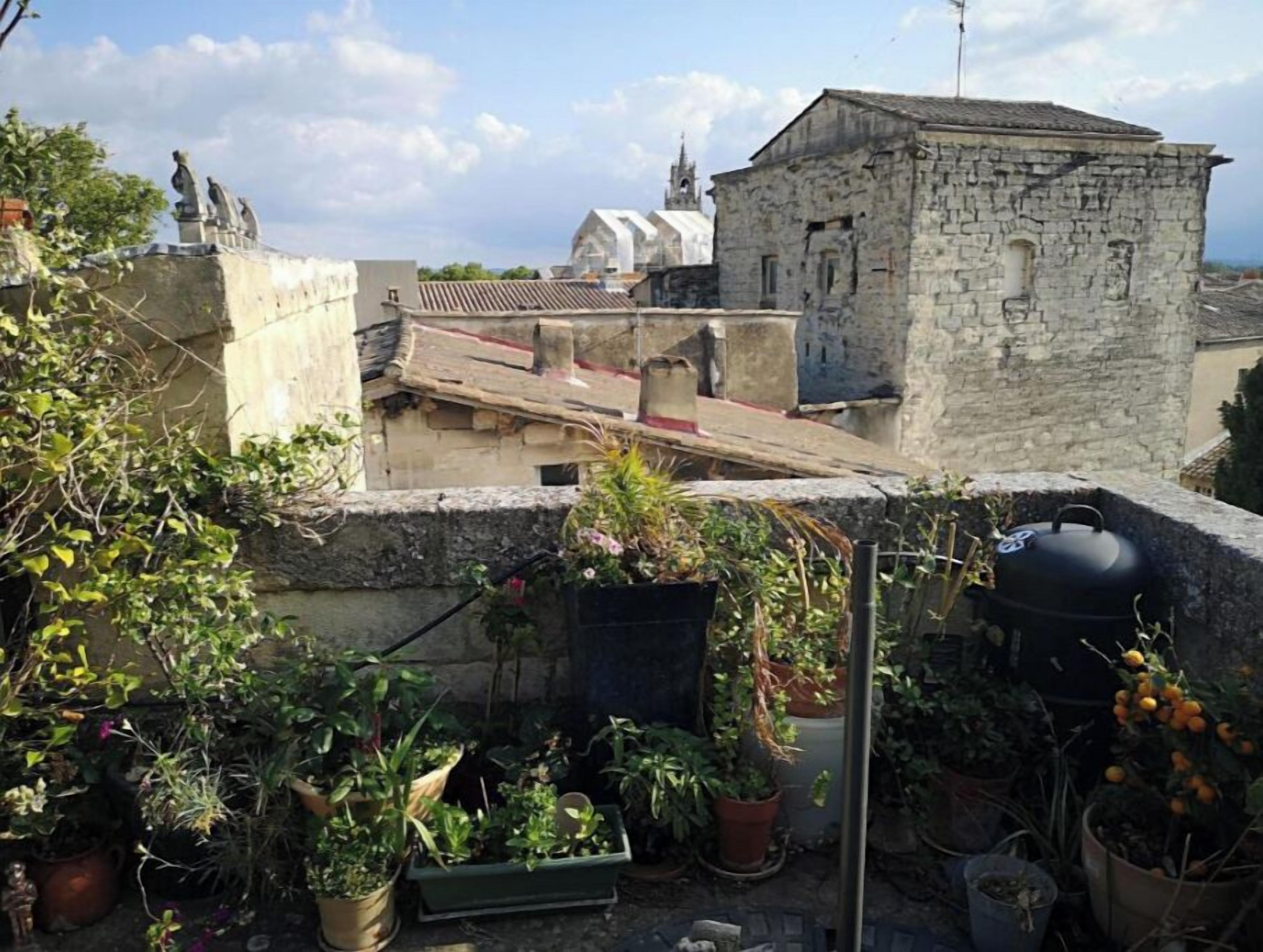 A rooftop garden with potted plants and a barbecue grill.