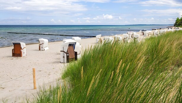 Une plage avec des chaises longues blanches et un poteau en bois.