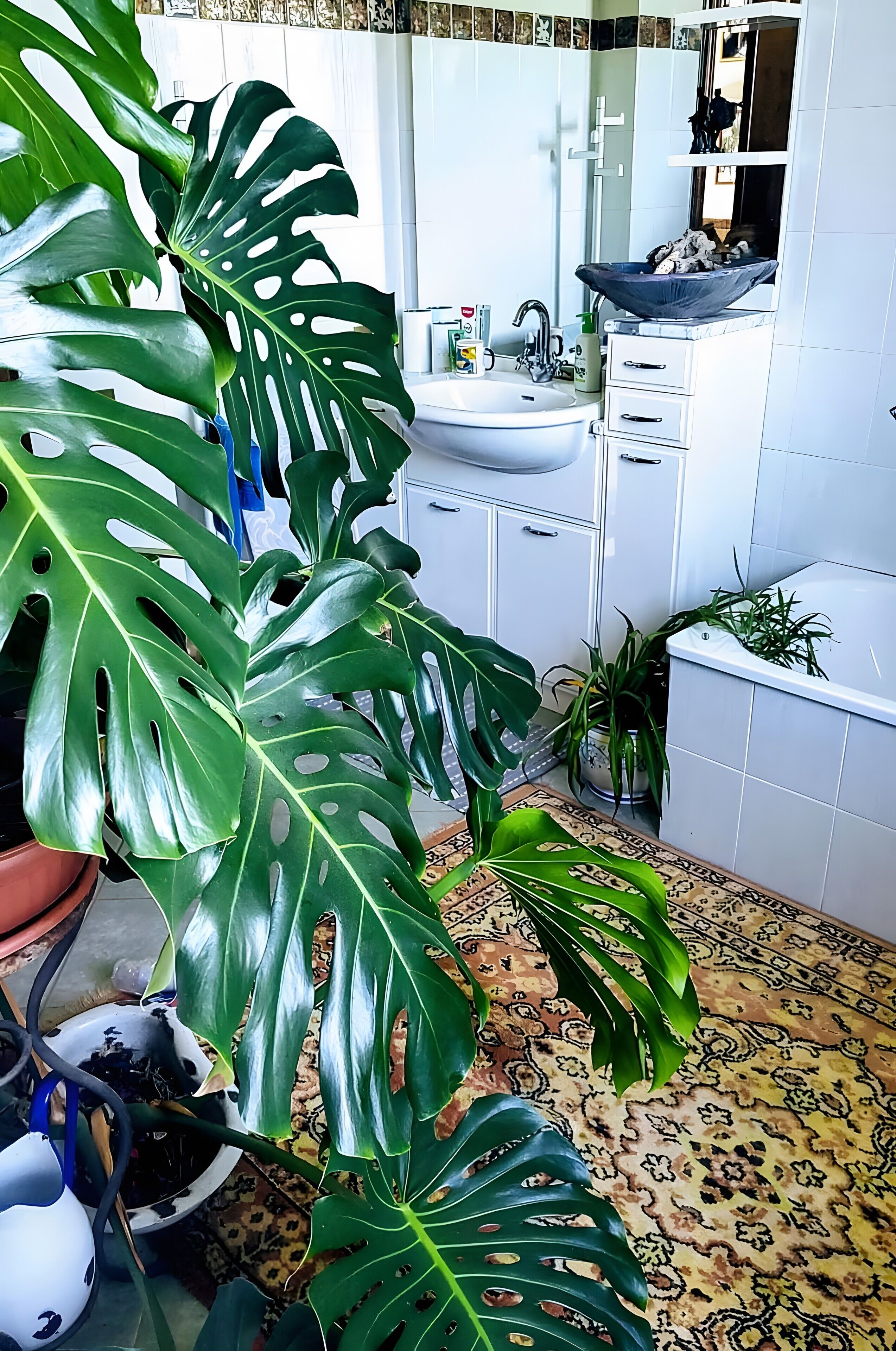 Een douche, een haardroger, handdoeken