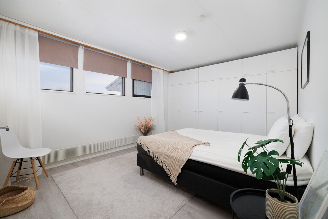 办公桌、WiFi、床单