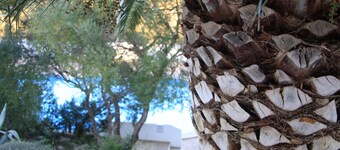 Miramar Apartment in Son Bou with Large Sea View Terrace and Private Pool Surrounded by Greenery
