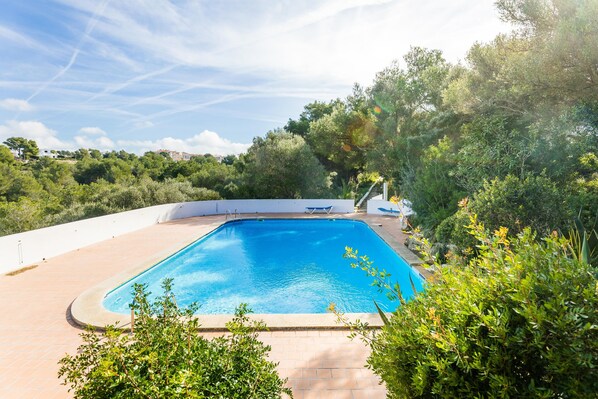 A rectangular swimming pool with a clear blue water surface, surrounded by a white wall and lush greenery.