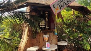 A rustic bar built into a large tree trunk with a sign reading "Eucalyptus Bar". - Bright villa with pool in Grimaud (Grimaud)