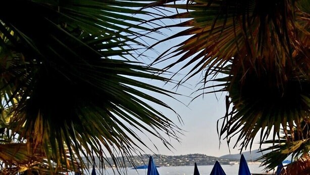 A beach with rows of sun loungers and umbrellas, palm trees, and a view of the sea and distant hills. - Bright villa with pool in Grimaud (Grimaud)