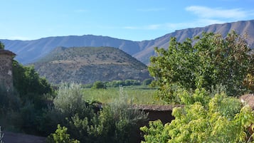 Comfort-Doppelzimmer, Gartenblick