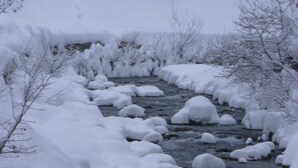 Un sendero cubierto de nieve con rocas y árboles.