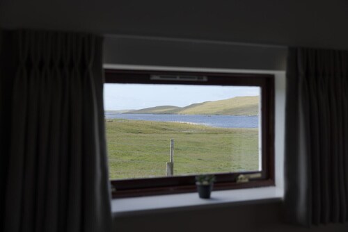 Remote Voe Escape | Dog Friendly • Log Burner