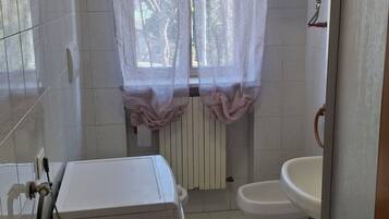 Ducha, secador de pelo, bidet, toallas