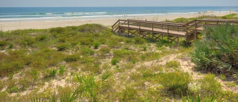Vlak bij het strand