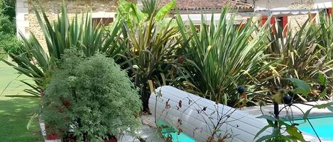 Terrein van de accommodatie