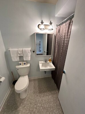 Bathroom - Suite. #10 -Beautiful Resortin Lexington Michigan (Lexington)