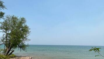 A sandy beach with a clear view of the sea and a tree on the left.