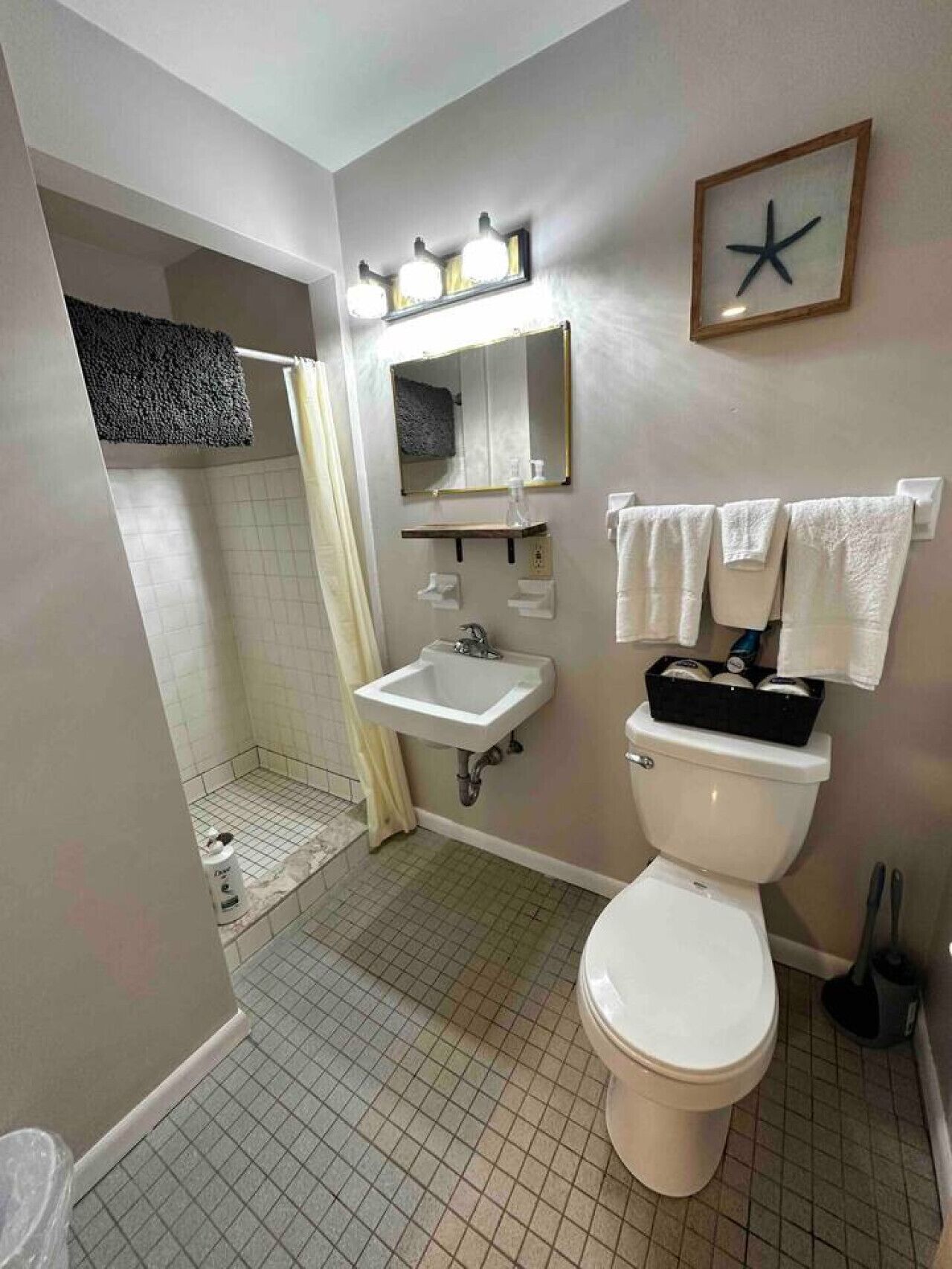 Une salle de bain avec des toilettes, un lavabo et une douche. On y trouve un porte-serviettes avec des serviettes, un miroir et une étoile de mer décorative accrochée au mur.