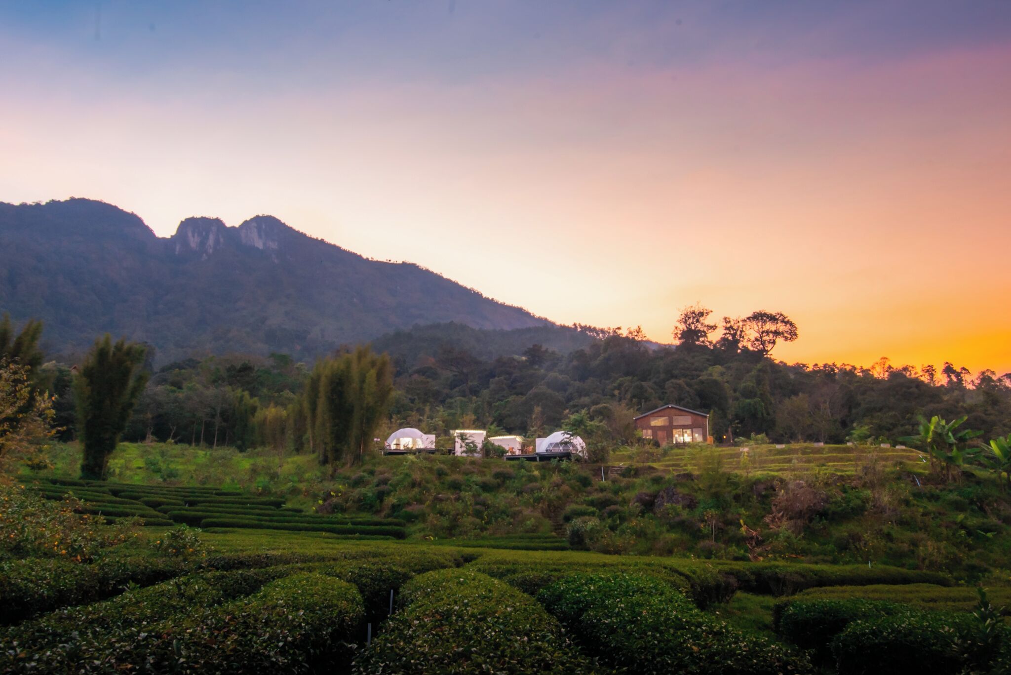 A landscape with terraced fields, a mountain in the background, and several white buildings.