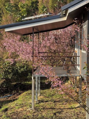 Teras/patio