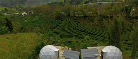 Comfort Tent, 1 Queen Bed, Non Smoking, Garden View