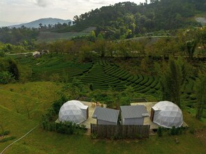 Comfort Tent, 1 Queen Bed, Non Smoking, Garden View - Doi Inthanon Tea Farmstay (Mae Wang)