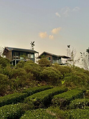 Garden - Doi Inthanon Tea Farmstay (Chom Thong)